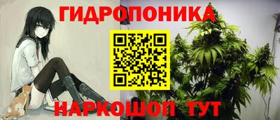 мдпв Пугачёв