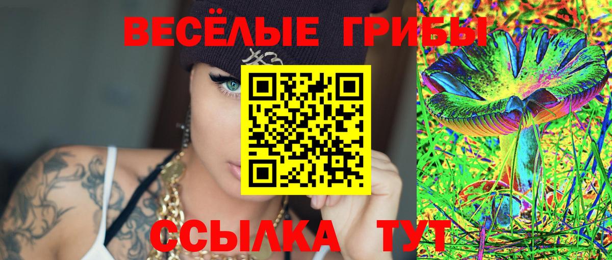 Канск  Галлюциногенные грибы прущие грибы  Вход с VPN 